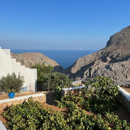 Cycladic Houses In Rural Surrounding Аморгос Екстер'єр фото